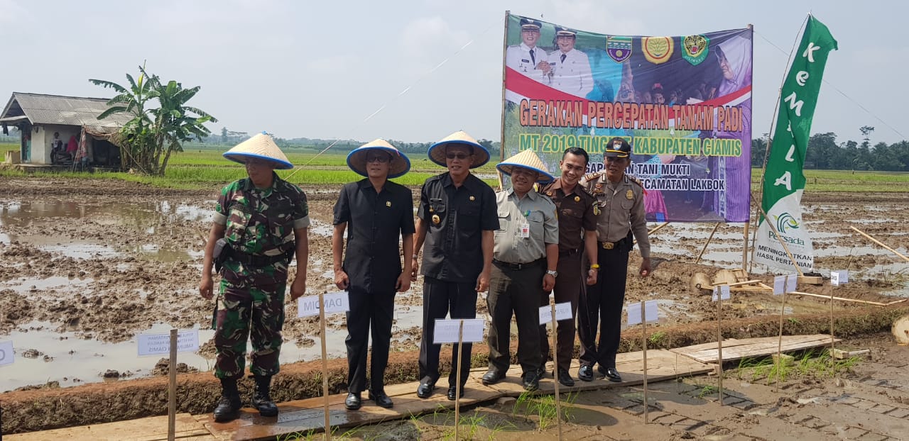 BUPATI BUKA GERAKAN PERCEPATAN TANAM PADI MUSIM TANAM 2019 TINGKAT KABUPATEN CIAMIS