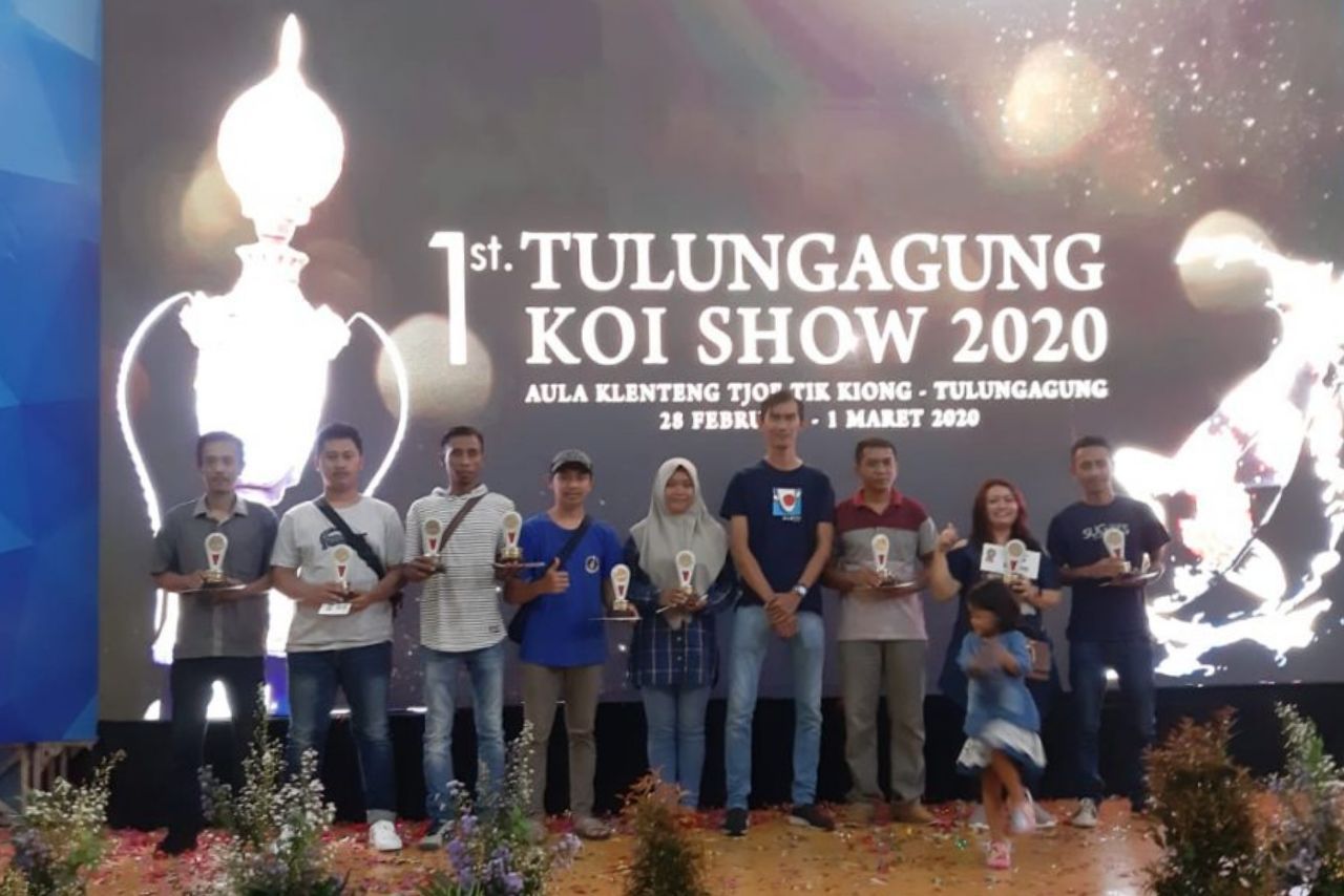 Paguyuban Koi Galuh Raih Prestasi di Tulungagung