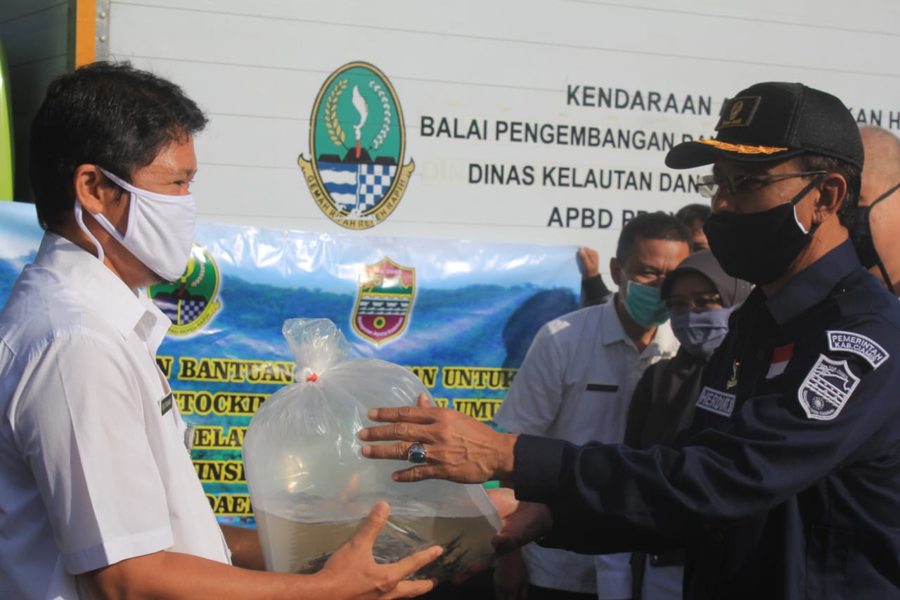 Tingkatkan Populasi Ikan di Perairan Umum, Bupati Ciamis Serahkan Restocking 400.000 Benih Ikan