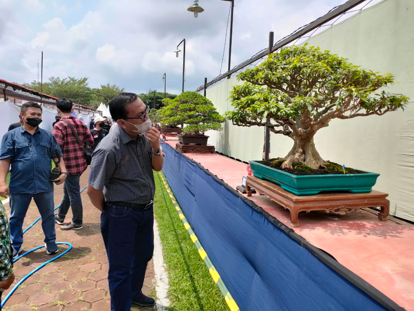 Kabupaten Ciamis Gelar Pameran Nasional Pesona Galuh Bonsai Festival 2021