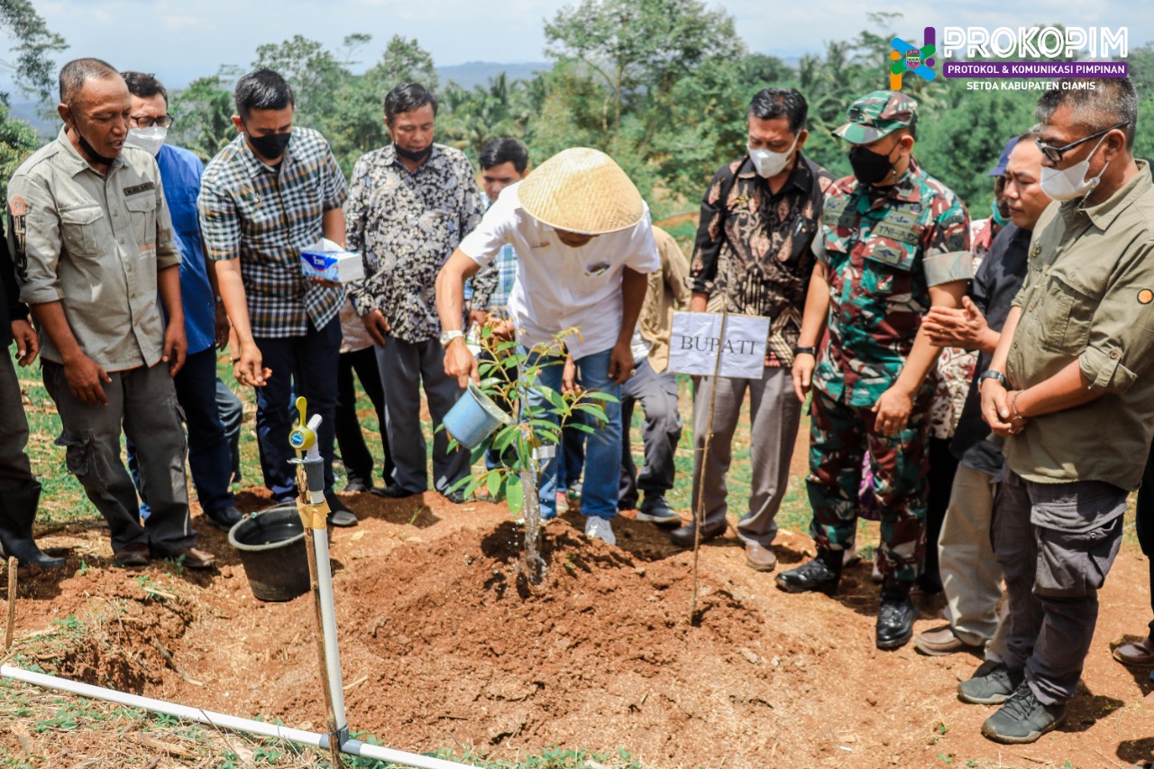 Bupati Ciamis di Desa Kalijaya, Buka RAT Koperasi Sampai Tanam Pohon Durian Bersama Warga