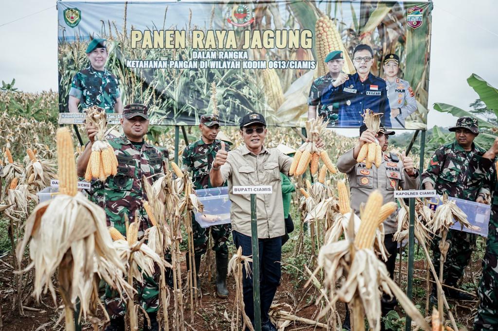 Ikuti Panen Raya Jagung, Bupati Ciamis Ajak Masyarakat Manfaatkan Lahan Terlantar Agar Produktif