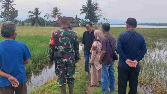 Bupati Ciamis Tinjau Lokasi Terdampak Banjir Purwadadi dan Lakbok