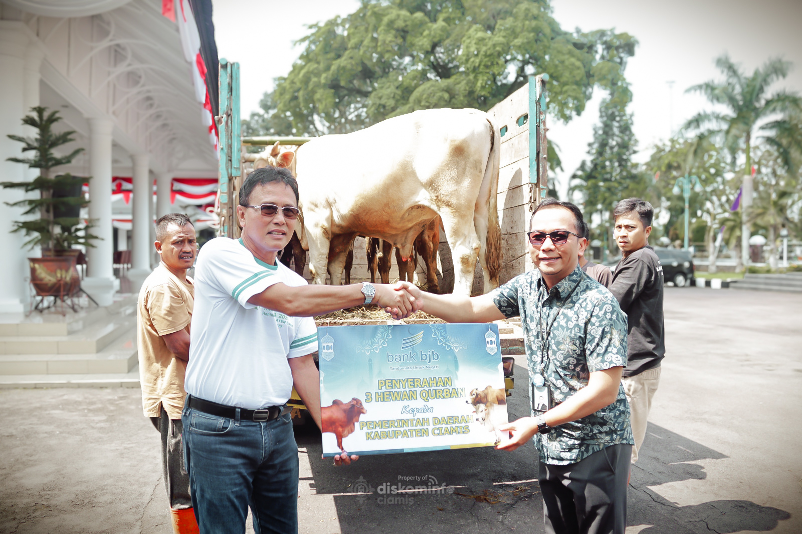 Menjelang Idul Adha, Pemkab Ciamis Kembali Terima Tiga Ekor Sapi Qurban dari Bank BJB